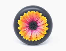 Last inn bildet i Galleri-visningsprogrammet, Invisalign Cases (Pre-order for 1 week)